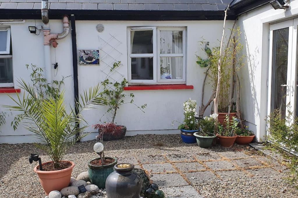 Cosy Self Contained Cottage With Stunning Views Killaloe Exteriör bild